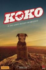 Watch Koko: A Red Dog Story Projectfreetv