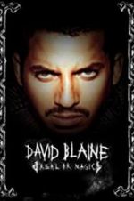 Watch David Blaine: Real or Magic Projectfreetv