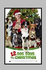 Watch 12 Dog Days Till Christmas Projectfreetv