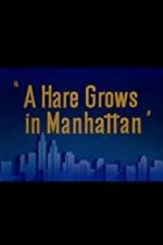 Watch A Hare Grows in Manhattan Projectfreetv