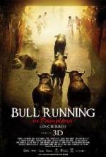Watch Encierro 3D: Bull Running in Pamplona Online Projectfreetv