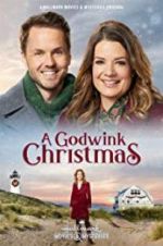 Watch A Godwink Christmas Projectfreetv