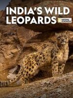 Watch India\'s Wild Leopards (Short 2020) Online Projectfreetv