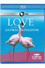 Watch Nature: Love in the Animal Kingdom Projectfreetv