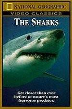Watch National Geographic The Sharks Projectfreetv