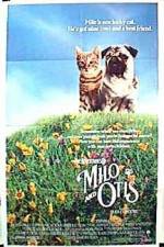 Watch Milo and Otis Projectfreetv