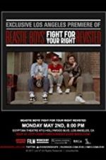 Watch Beastie Boys: Fight for Your Right Revisited Projectfreetv