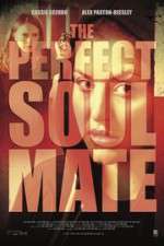 Watch The Perfect Soulmate Projectfreetv