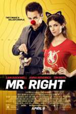 Watch Mr. Right Projectfreetv