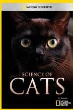 Watch National Geographic Science of Cats Projectfreetv