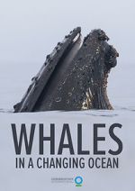 Watch Whales in a Changing Ocean (Short 2021) Online Projectfreetv