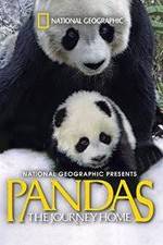 Watch Pandas: The Journey Home Projectfreetv
