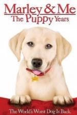 Watch Marley and Me The Puppy Years Projectfreetv