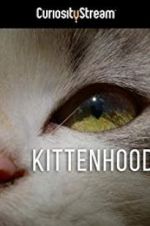 Watch Kittenhood Projectfreetv