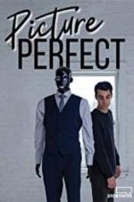 Watch Picture Perfect Projectfreetv
