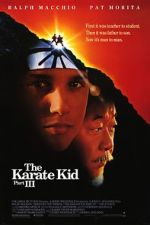 Watch The Karate Kid Part III Online Projectfreetv