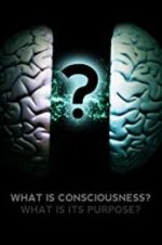 Watch What Is Consciousness? What Is Its Purpose? Projectfreetv