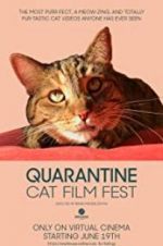 Watch Quarantine Cat Film Fest Online Projectfreetv