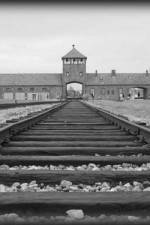 Watch AUSCHWITZ: ORDERS AND INITIATIVES Projectfreetv