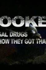 Watch Hooked Illegal Drugs & How They Got That Way - Opium Morphine and Heroin Projectfreetv