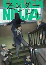under ninja tv poster
