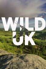 Watch Wild UK Projectfreetv