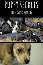 Watch Puppy Secrets: The First Six Months Projectfreetv