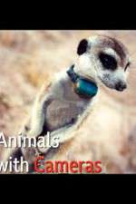 Watch Animals with Cameras Projectfreetv