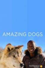 Watch Amazing Dogs Projectfreetv