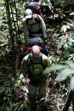 Watch Walking The Amazon Projectfreetv