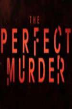 Watch Projectfreetv The Perfect Murder Online