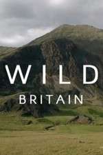 Watch Wild Britain Projectfreetv