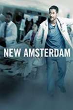 Watch New Amsterdam Projectfreetv