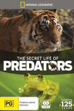 Watch Secret Life of Predators Projectfreetv