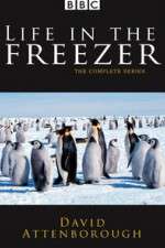 Watch Life in the Freezer Projectfreetv