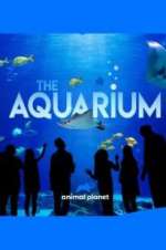 the aquarium tv poster