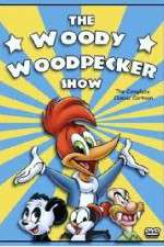 Watch Projectfreetv The Woody Woodpecker Show Online