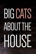Watch Big Cats About the House Projectfreetv