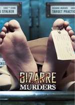 bizarre murders tv poster