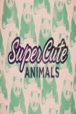 Watch Super Cute Animals Projectfreetv