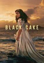 Watch Projectfreetv Black Cake Online