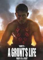 a grunt's life tv poster