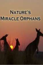 Watch Projectfreetv Nature's Miracle Orphans Online