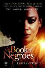 Watch Projectfreetv The Book of Negroes Online