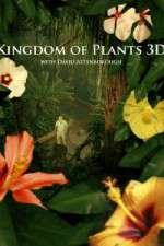 Watch Kingdom of Plants 3D Projectfreetv