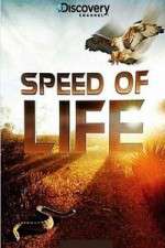 Watch Discovery Channel Speed Of Life Projectfreetv