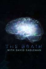 Watch The Brain with Dr David Eagleman Projectfreetv