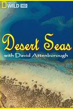 Watch Desert Seas Projectfreetv