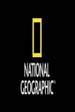 Watch National Geographic Wild Animal Attacks On Vacation Projectfreetv