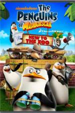 Watch Penguins of Madagascar New to the Zoo Projectfreetv